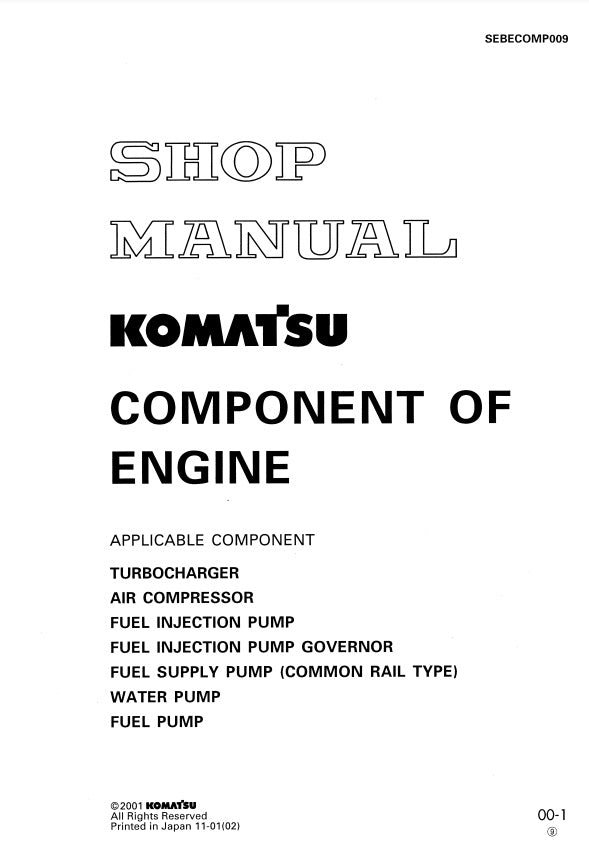 MANUAL DE SERVICIOS COMPONENTES DEL MOTOR