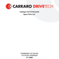 MANUAL DE PARTES TRANSMISIÓN CARRARO 393434