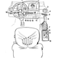 Manual de Operación y Mantenimiento Vibrococmpactador Boomag 320D y 336D