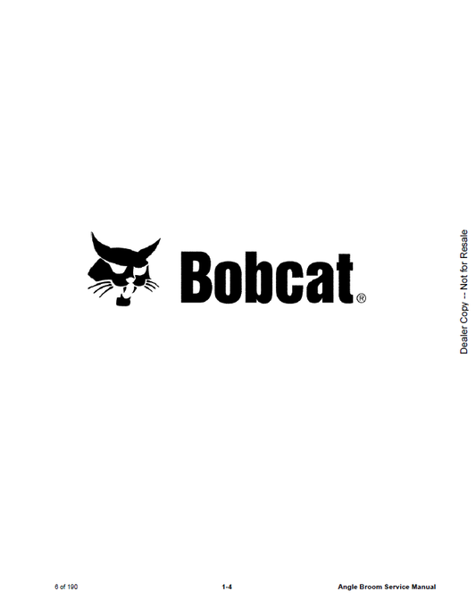 Manual de Reparación Escoba Angular Bobcat