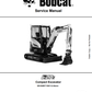Manual de Reparación Excavadora Compacta Bobcat E27z