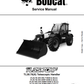 Manual de Reparación Manipulador Telescopico Bobcat TL35.70(X)
