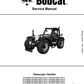 Manual de Reparación Manipulador Telescopico Bobcat TL30.60DB, TL26.60DB, TL30.60HB, TL26.60HB