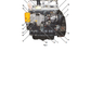 Manual de Reparación Motor JCB Dieselmax