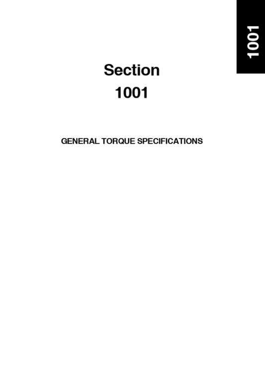 Manual de Servicios Cargador New Holland W110C Tier II