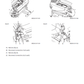 Manual de Taller y Diagrama Circuitos Eléctricos Excavadora Hitachi ZX200-5A, ZX210-5A Series