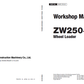 Manual de Taller y Diagrama de Circuitos Eléctricos Cargador Hitachi ZW250-5B