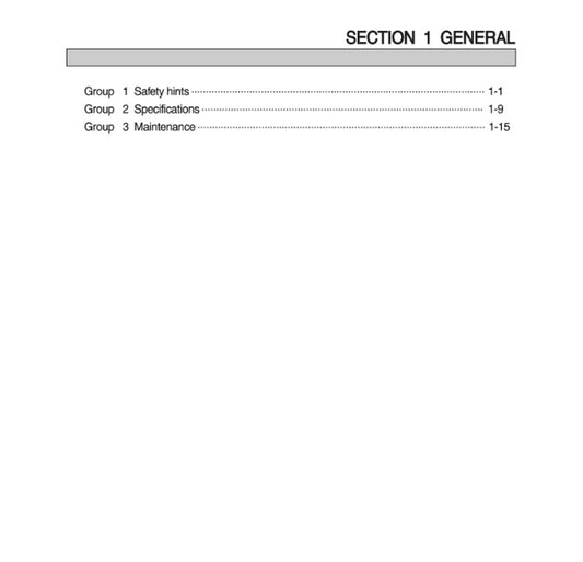 MANUAL DE SERVICIOS MINICARGADOR HSL850-7